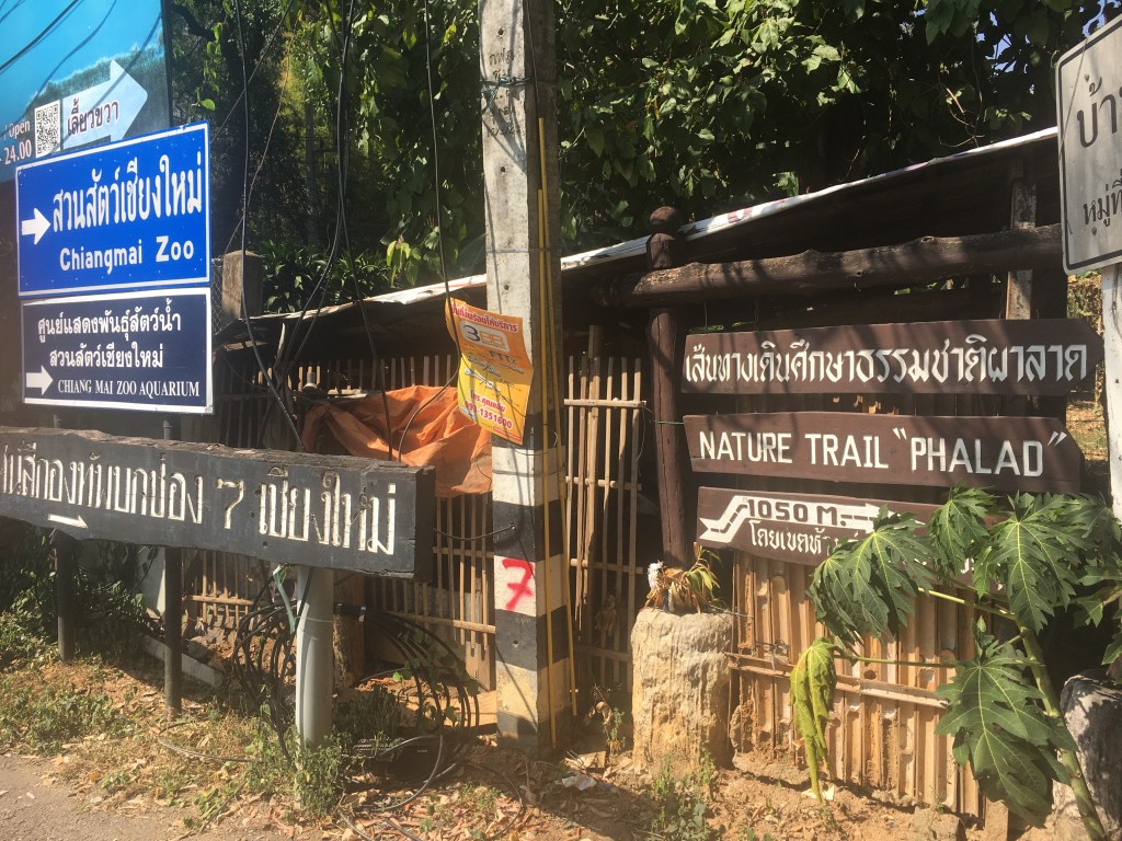 The end of Doi Suthep road with signs pointing to the direction of the trail.