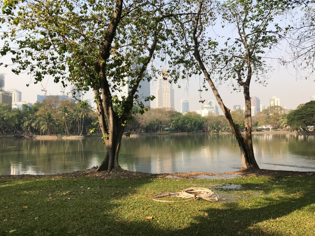 Lumphini Park
