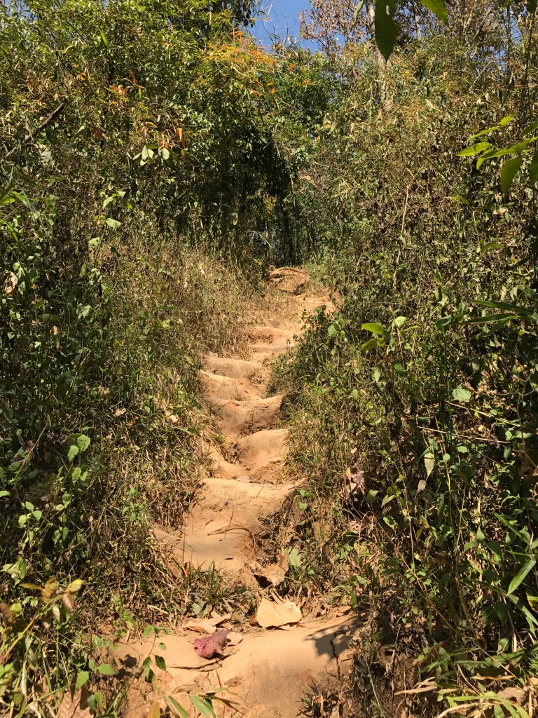 And this marks the beginning of the clay steps up to Wat Phra That Doi Suthep. Photo credit: Aaron.