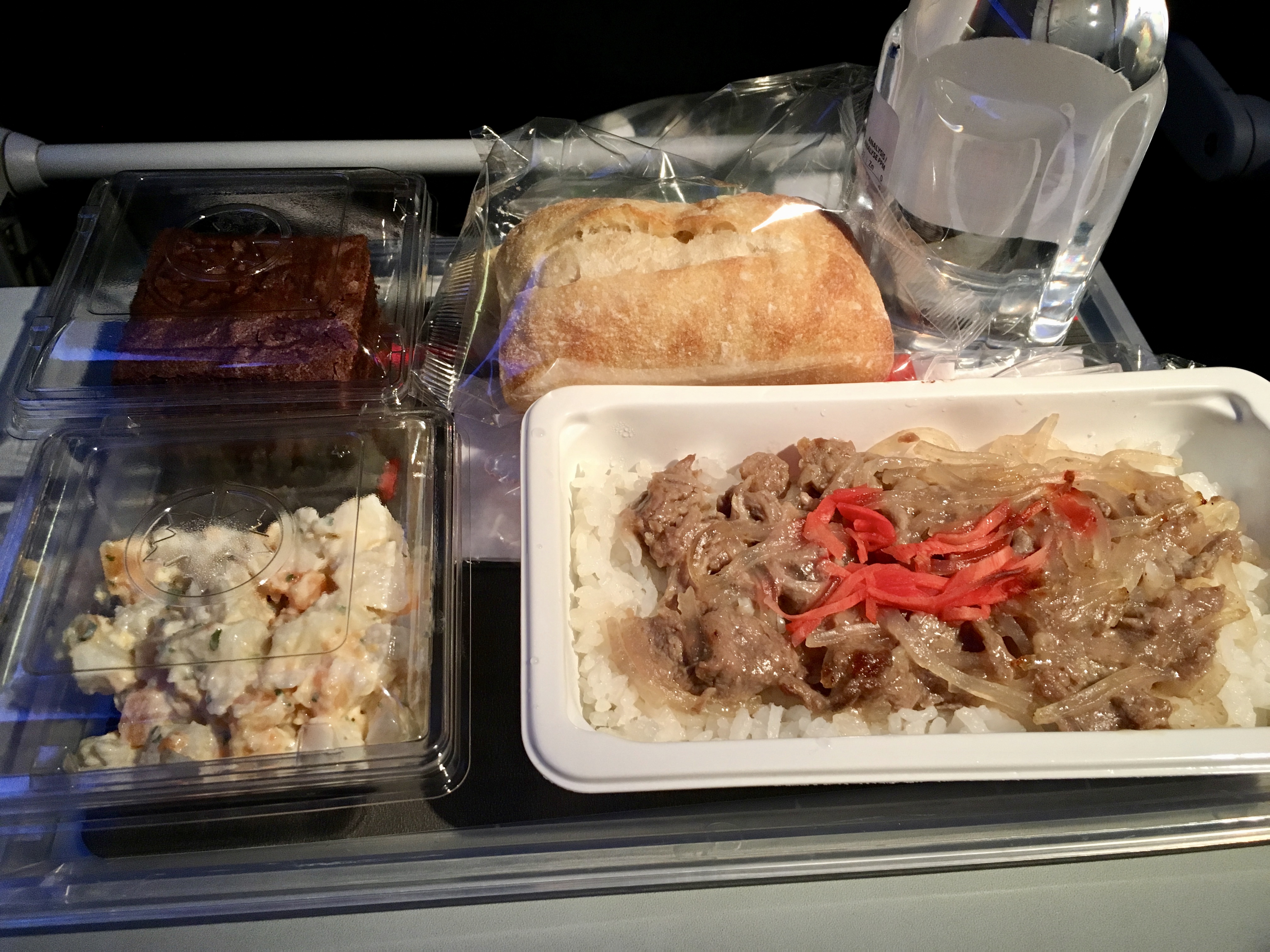 Plane Food
