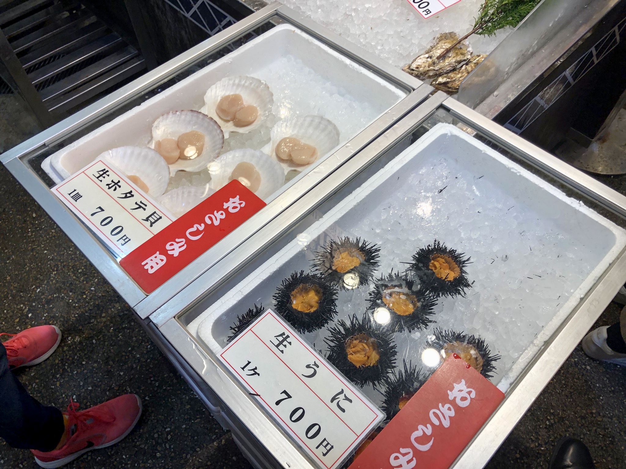 Super fresh scallop and uni