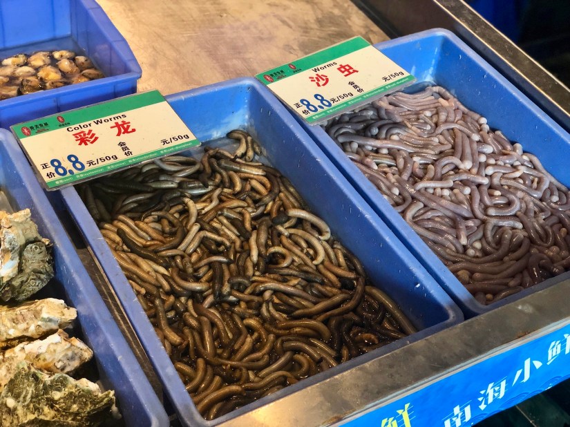 Worms for lunch? @ 侨美食家