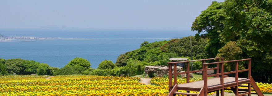 Flower field @ Nokonoshima Island Park