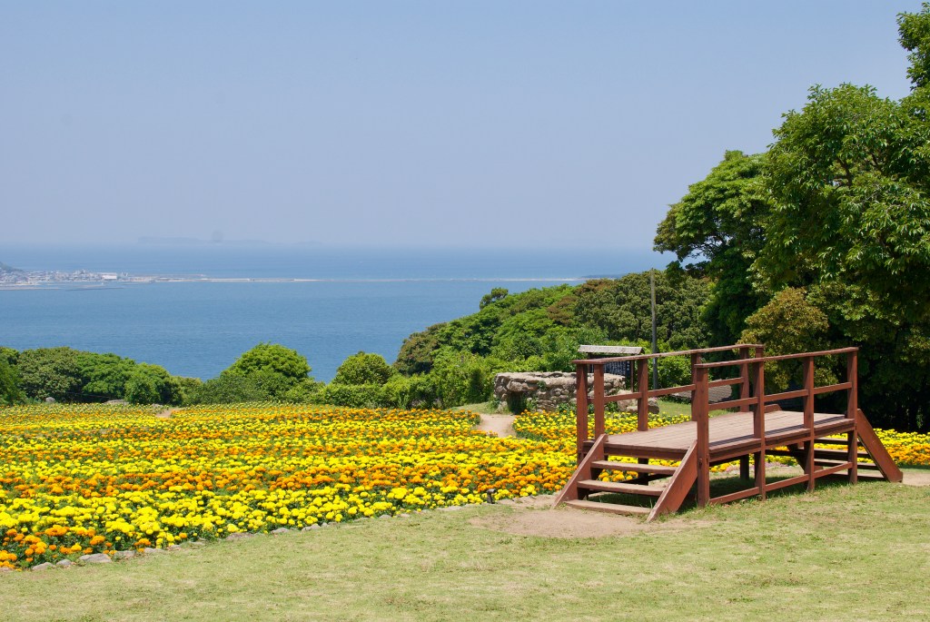 Flower field @ Nokonoshima Island Park